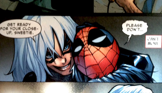 Black Cat Spider Man